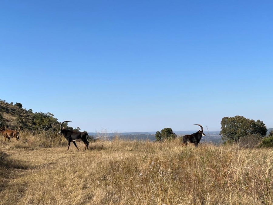 Commercial Property for Sale in Swartruggens North West